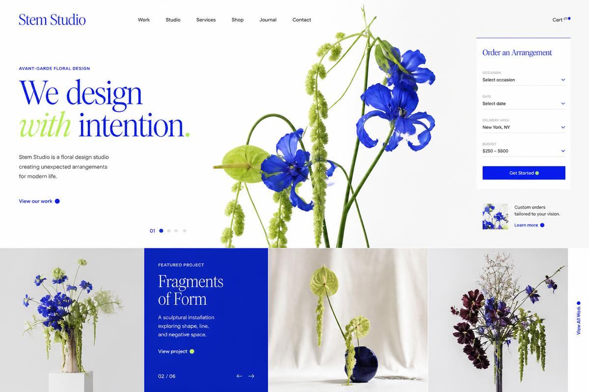 Stem Studio website concept